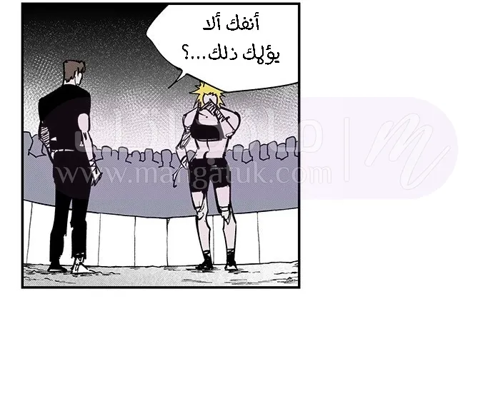 الصفحة 17