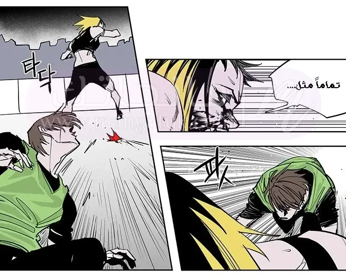 الصفحة 19