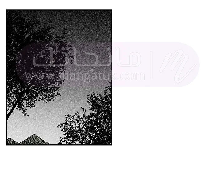 الصفحة 25