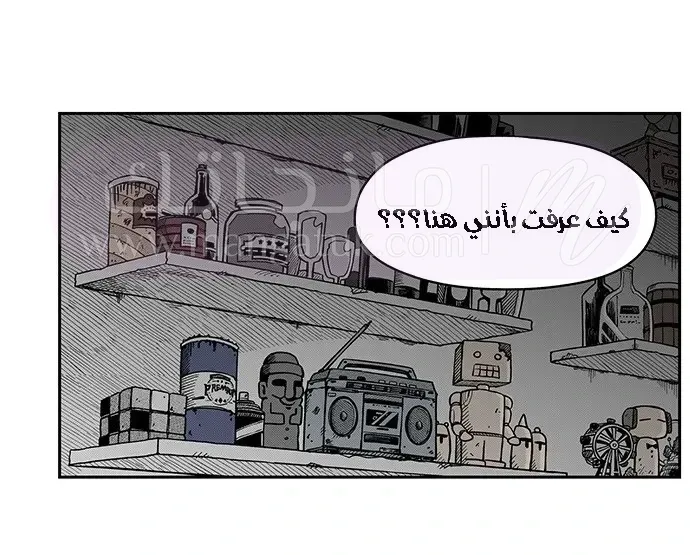 الصفحة 45
