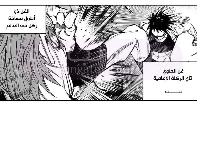 الصفحة 5