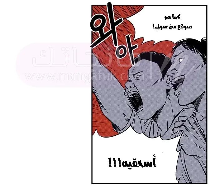 الصفحة 14