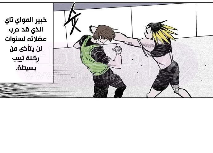 الصفحة 14
