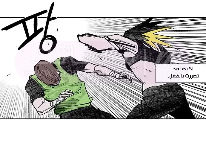 الصفحة 17