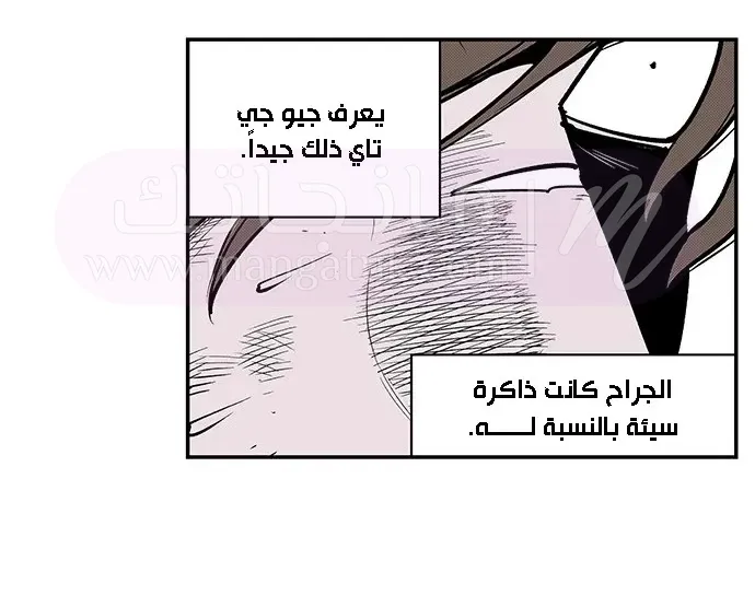 الصفحة 19