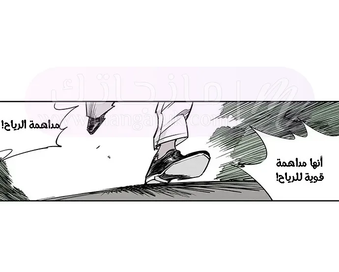 الصفحة 38