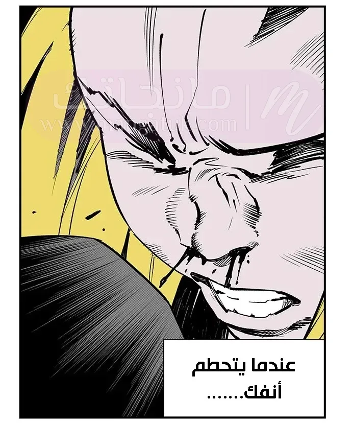 الصفحة 30