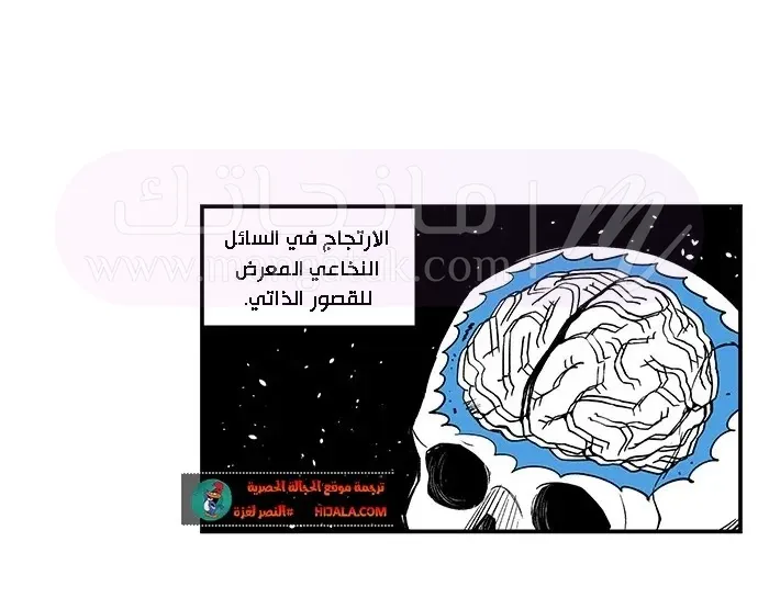 الصفحة 32