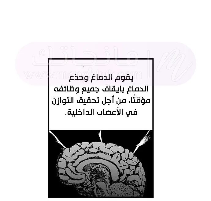 الصفحة 34