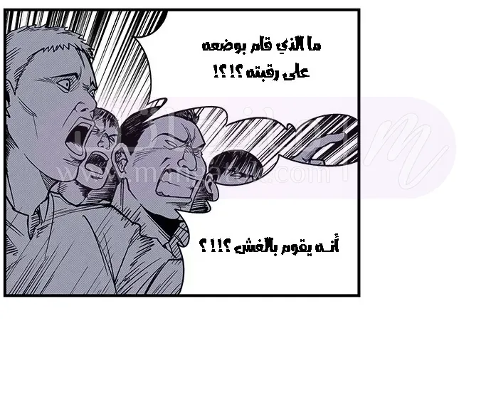 الصفحة 37