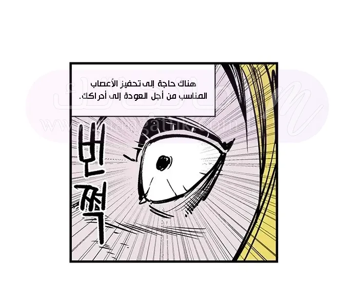 الصفحة 46