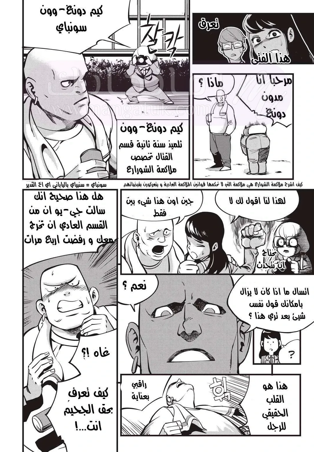 الصفحة 13