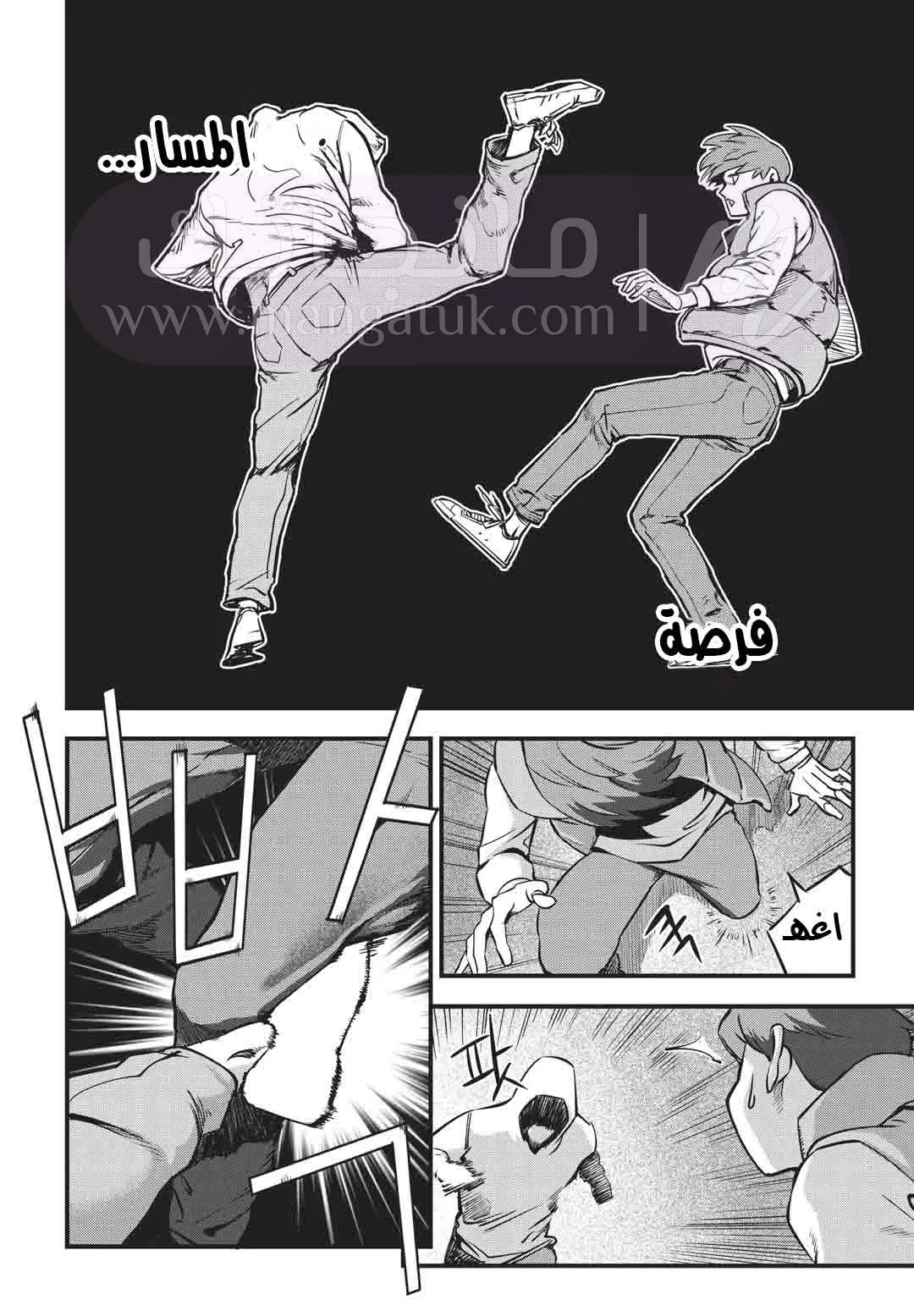 الصفحة 25