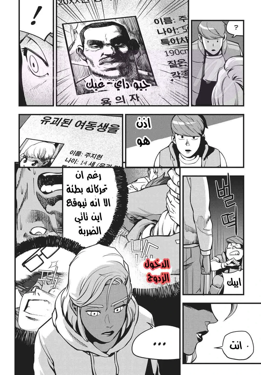 الصفحة 29