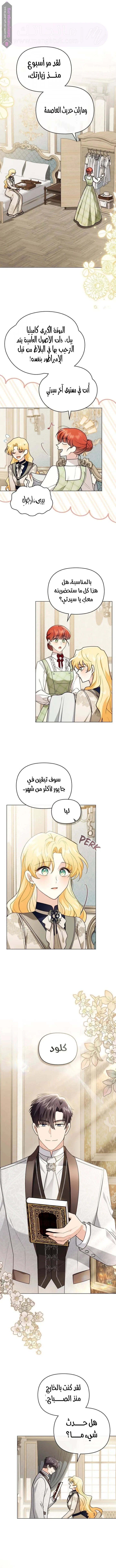 الصفحة 3