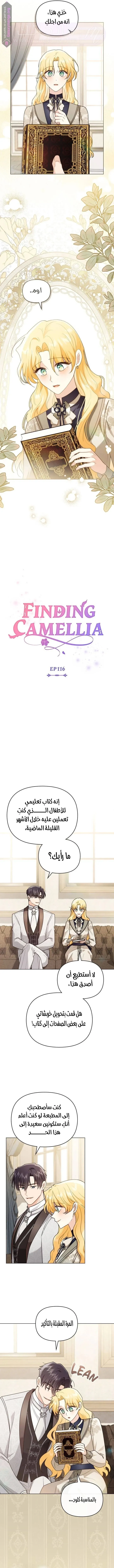 الصفحة 4