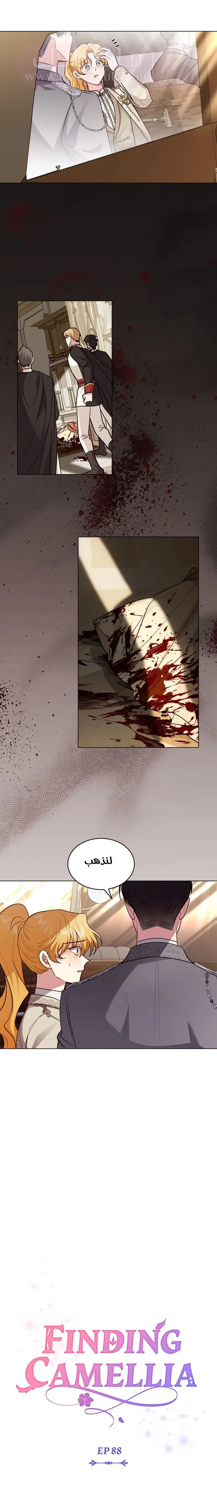 الصفحة 7