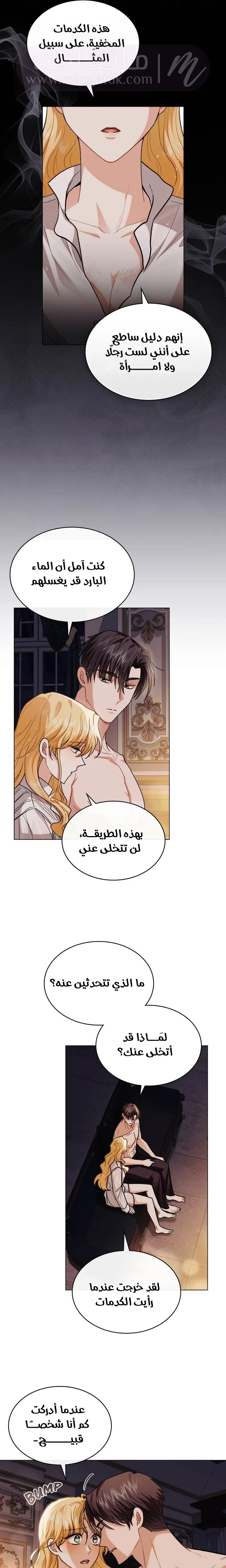 الصفحة 17