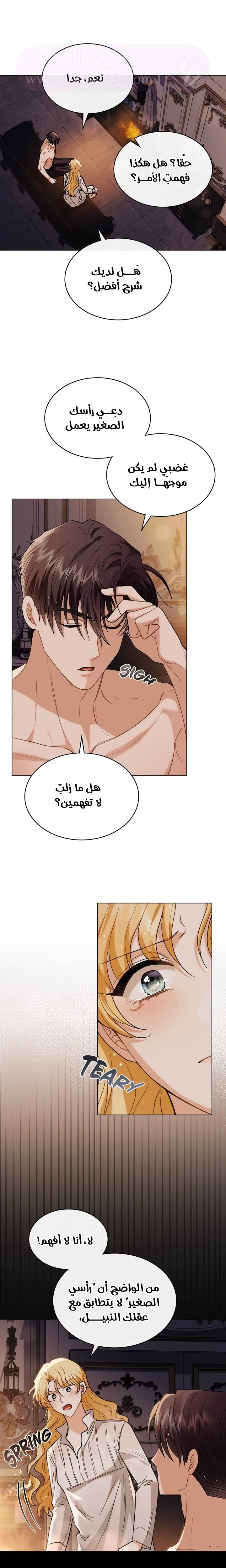 الصفحة 19