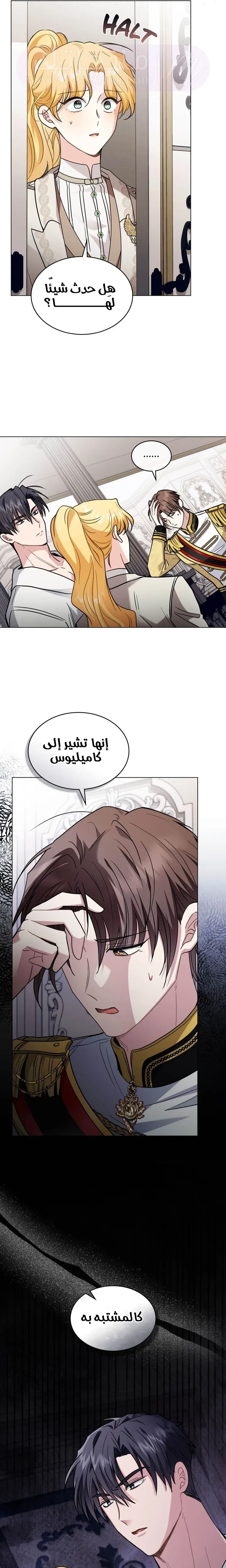 الصفحة 17