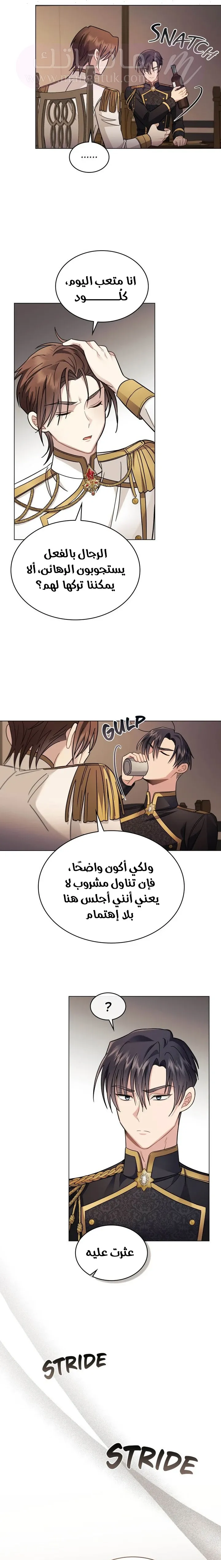 الصفحة 17