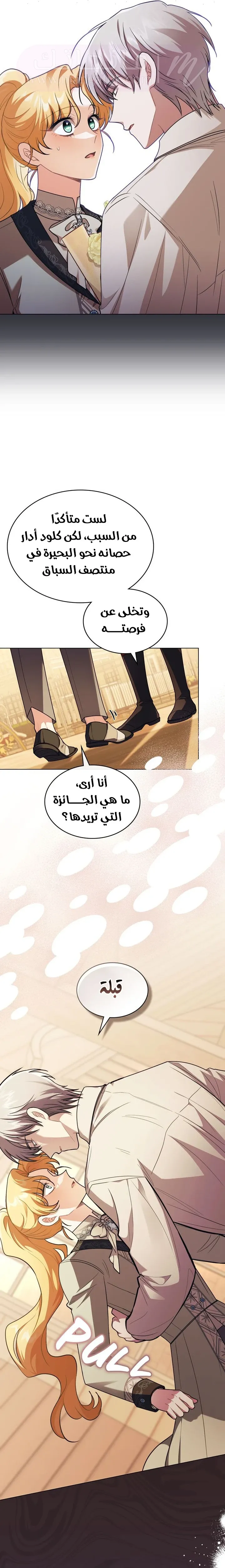 الصفحة 17