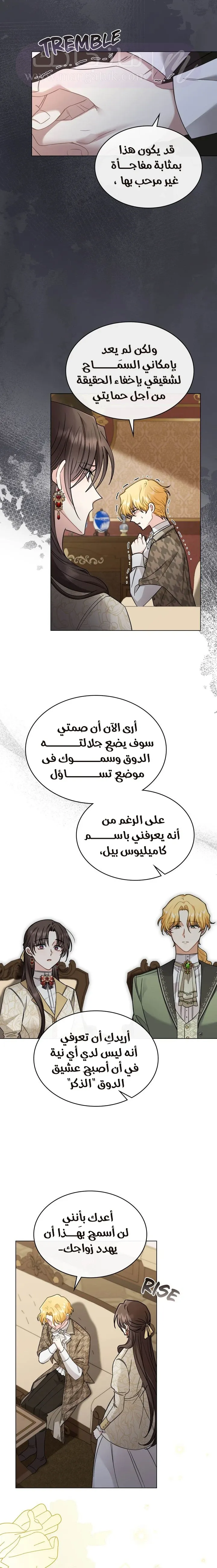 الصفحة 3