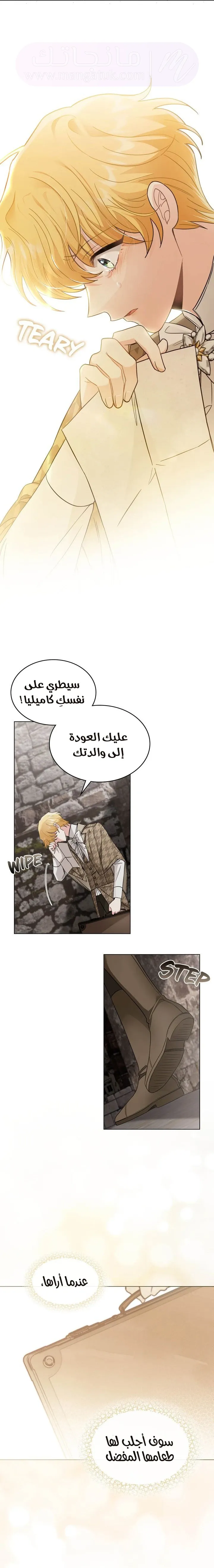 الصفحة 17