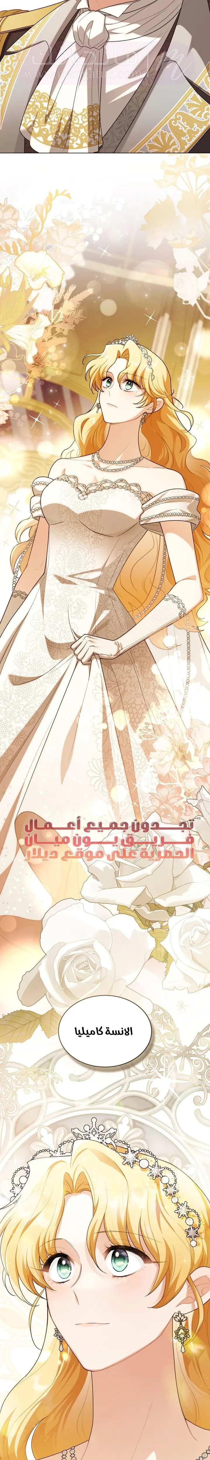 الصفحة 20
