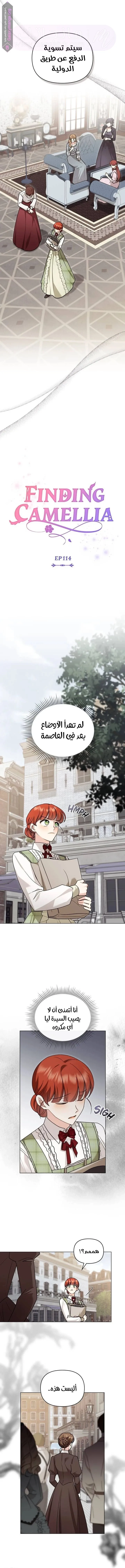 الصفحة 5