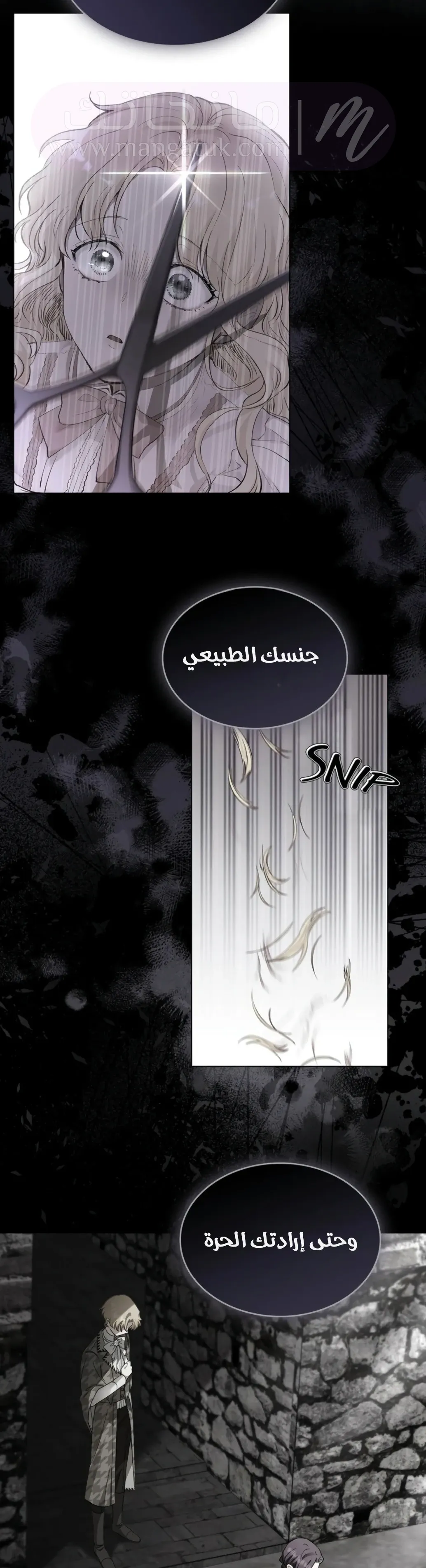 الصفحة 25