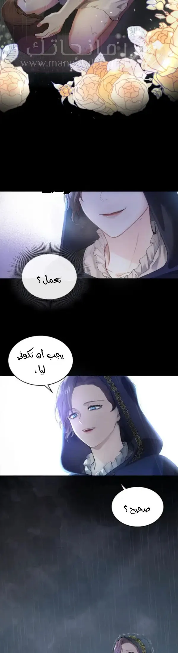 الصفحة 16
