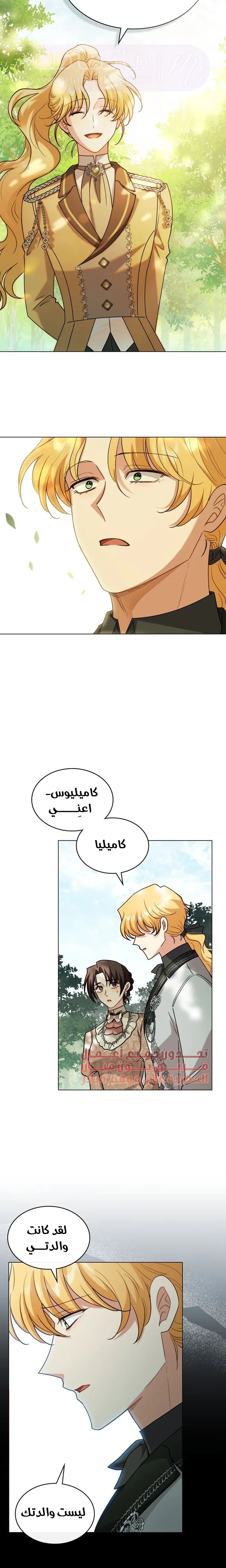 الصفحة 19