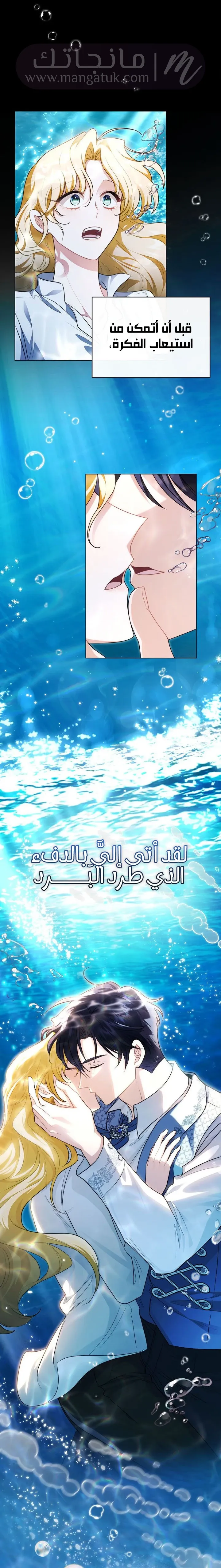 الصفحة 17
