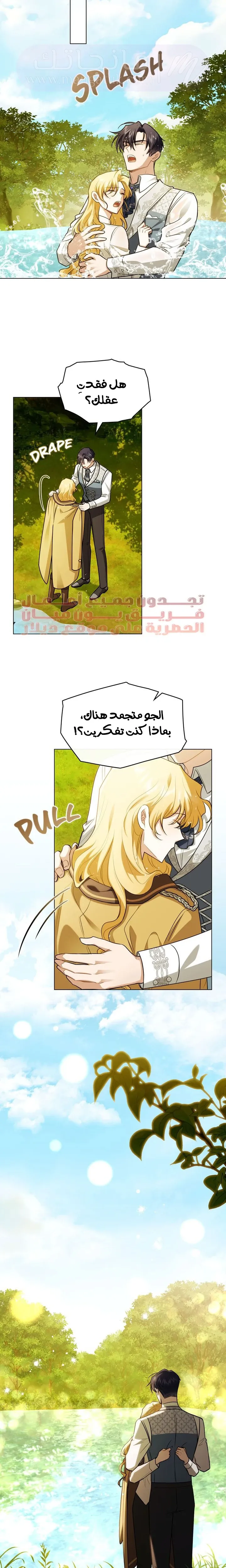 الصفحة 19