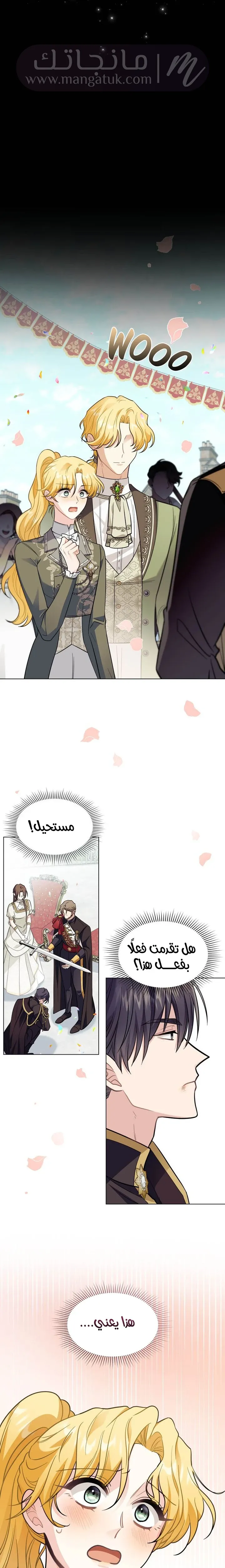 الصفحة 17