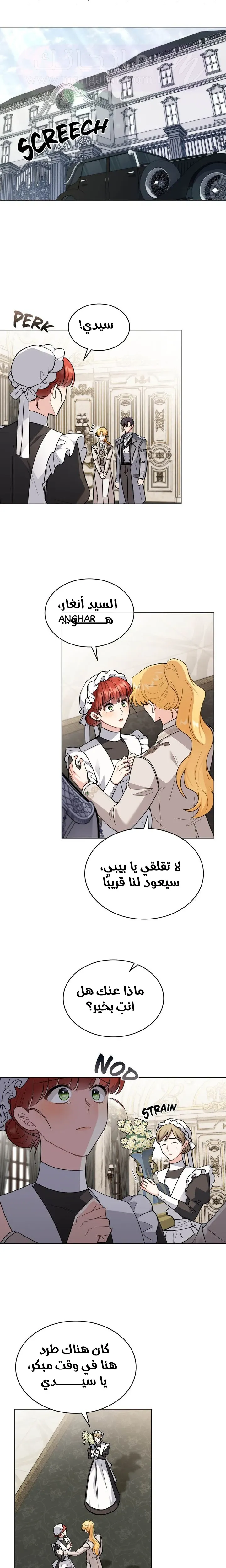 الصفحة 17
