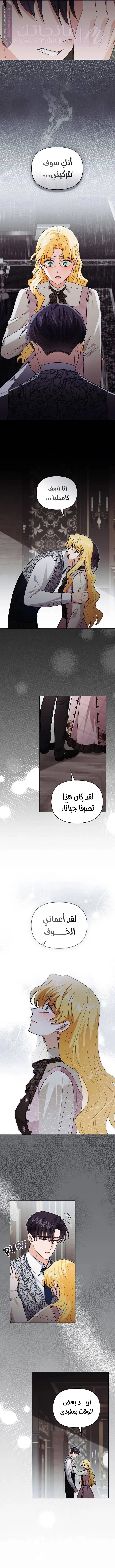الصفحة 7