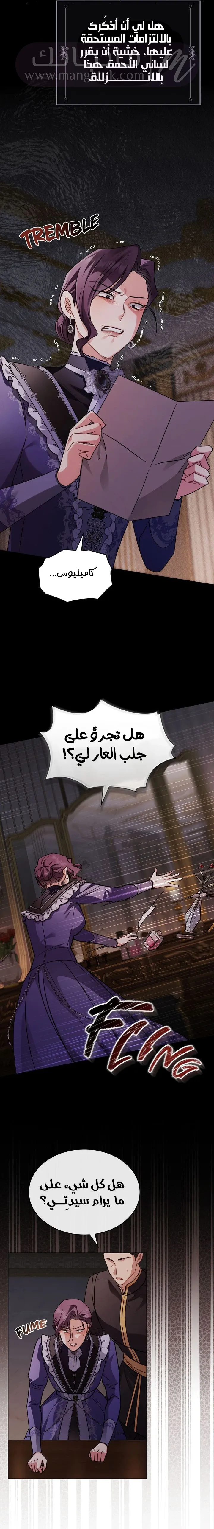 الصفحة 17
