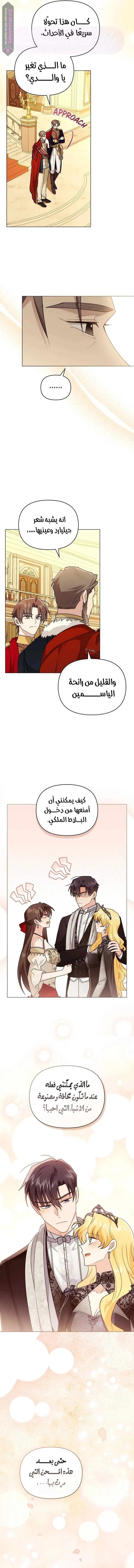 الصفحة 11