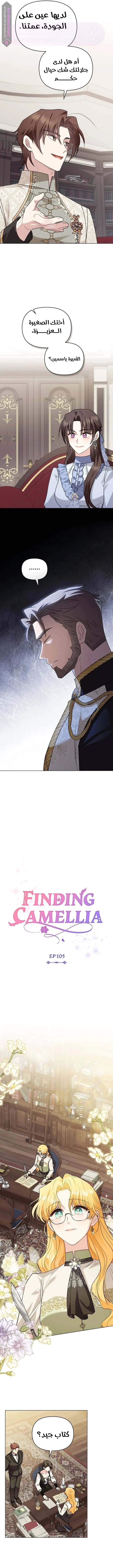 الصفحة 7