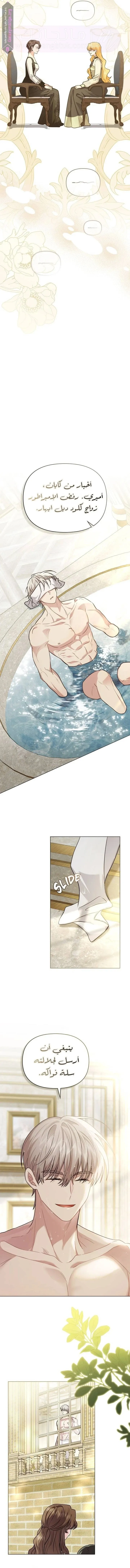 الصفحة 12