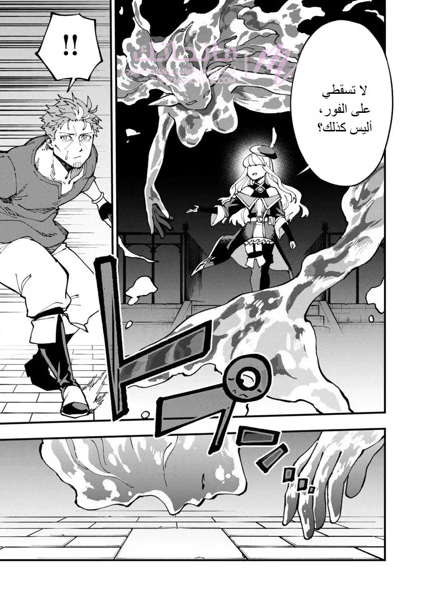 الصفحة 14