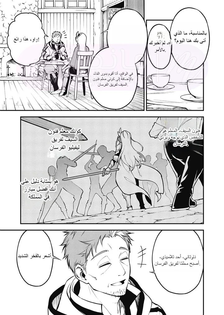 الصفحة 17