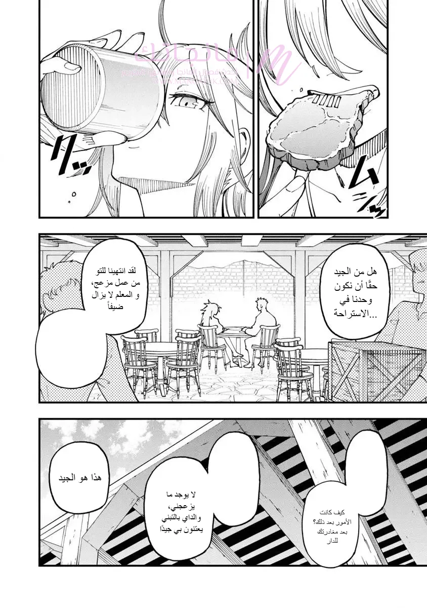 الصفحة 20