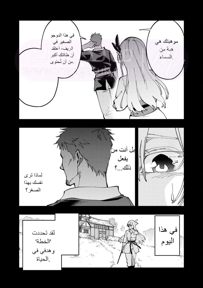 الصفحة 17