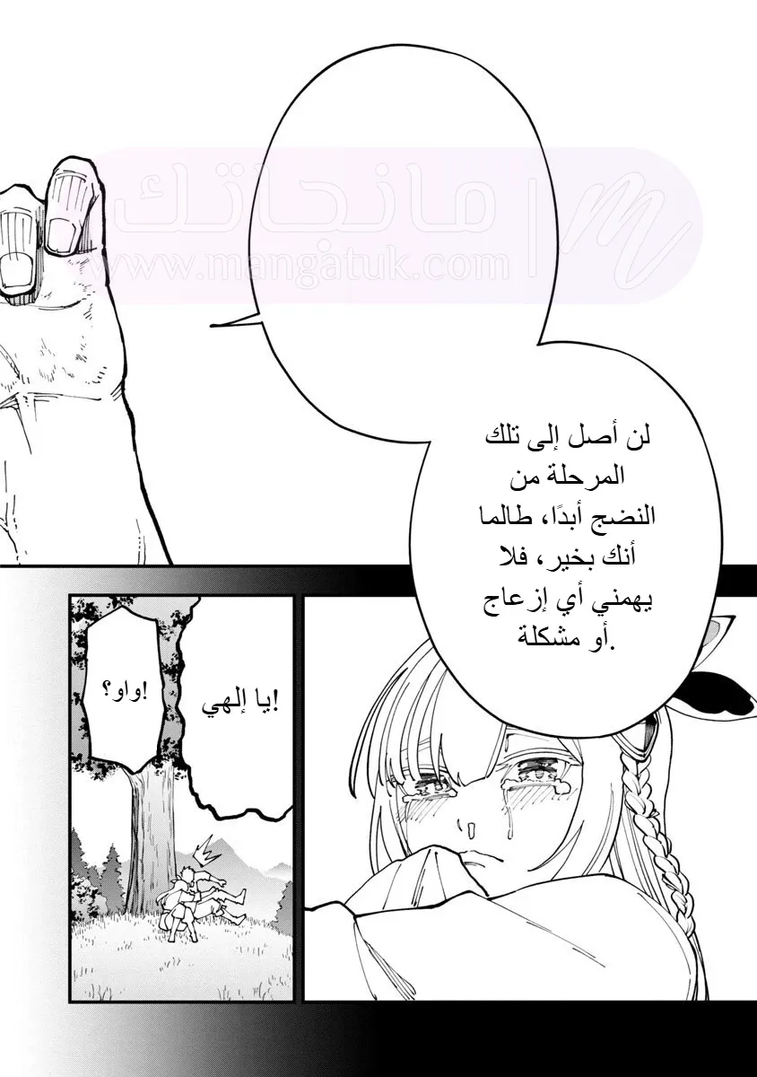 الصفحة 26