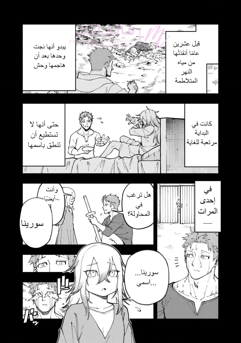 الصفحة 17
