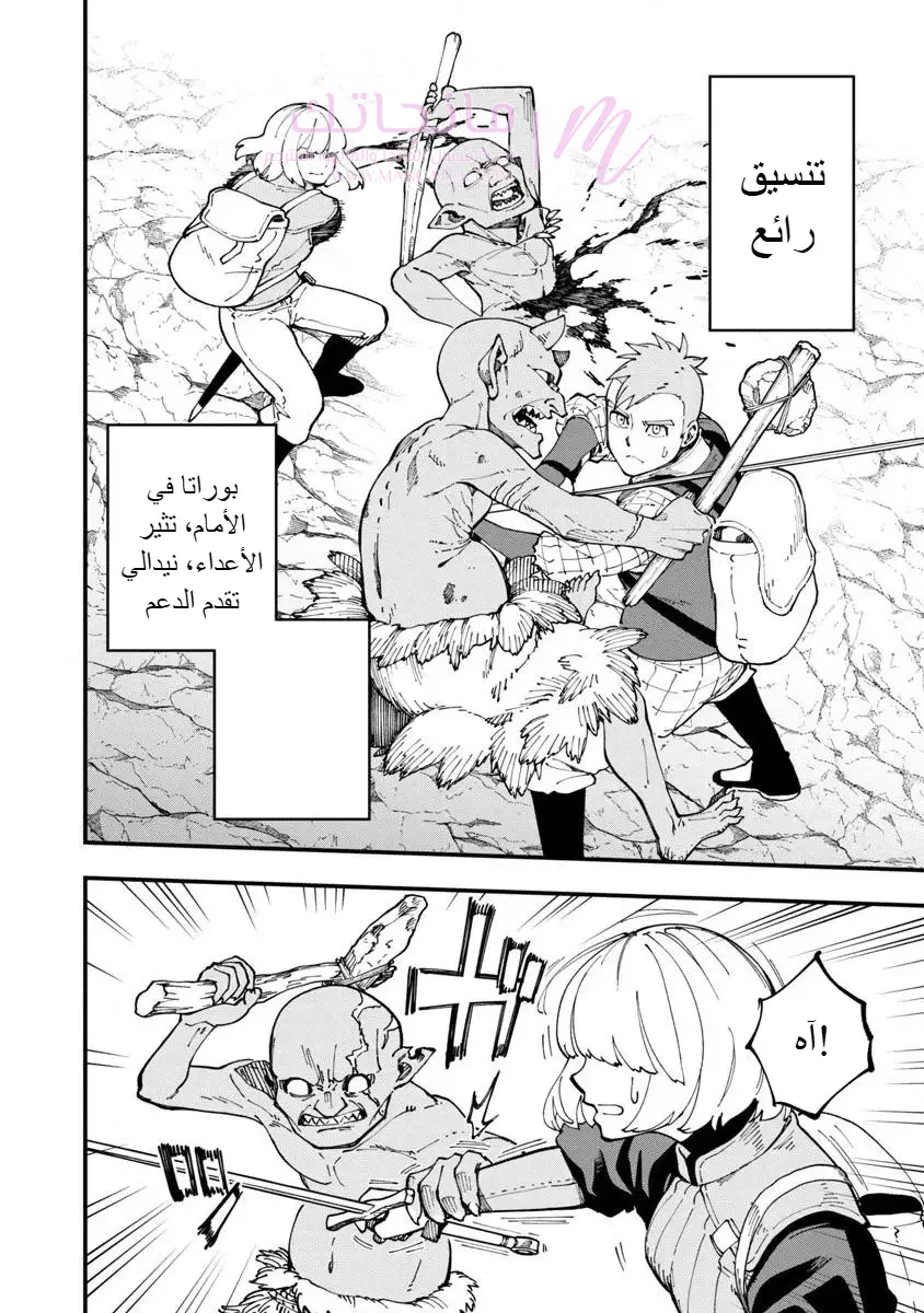 الصفحة 13