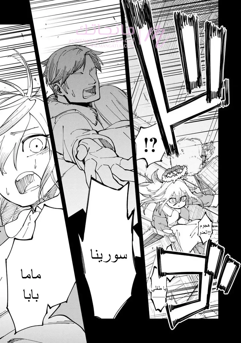 الصفحة 13